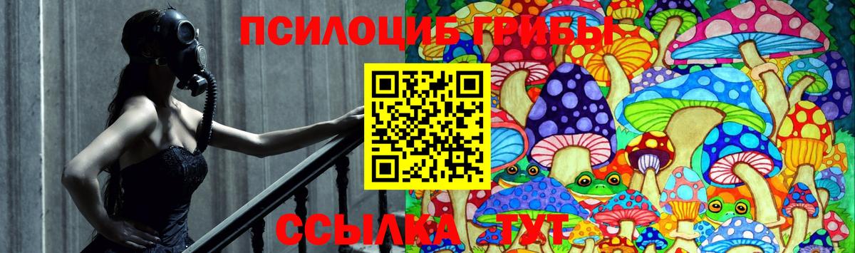 Егорьевск  Галлюциногенные грибы Psilocybine cubensis  Вход с VPN  Галлюциногенные грибы MAGIC MUSHROOMS 
