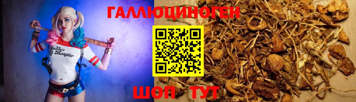 Псилоцибиновые грибы MAGIC MUSHROOMS Егорьевск